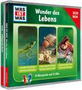 Wunder des Lebens