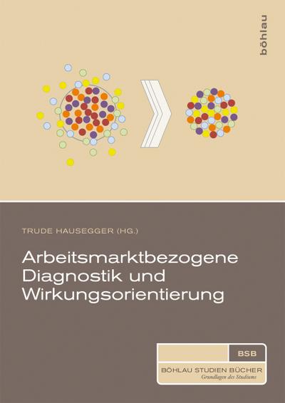 Arbeitsmarktbezogene Diagnostik und Wirkungsorientierung (Böhlau Studienbücher)