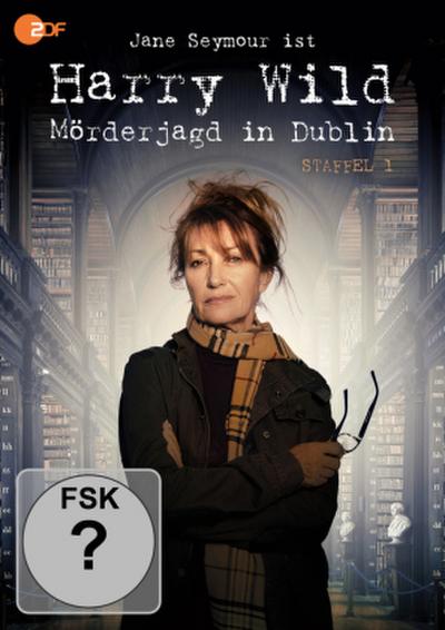 Harry Wild - Mörderjagd in Dublin