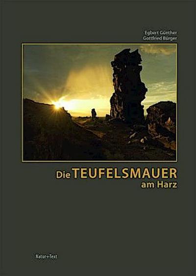 Die Teufelsmauer am Harz