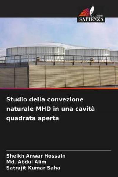 Studio della convezione naturale MHD in una cavità quadrata aperta