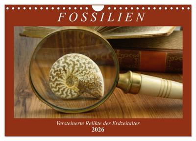 Fossilien - Versteinerte Relikte der Erdzeitalter (Wandkalender 2026 DIN A4 quer), CALVENDO Monatskalender