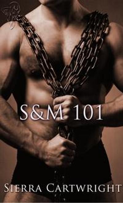 S&M 101