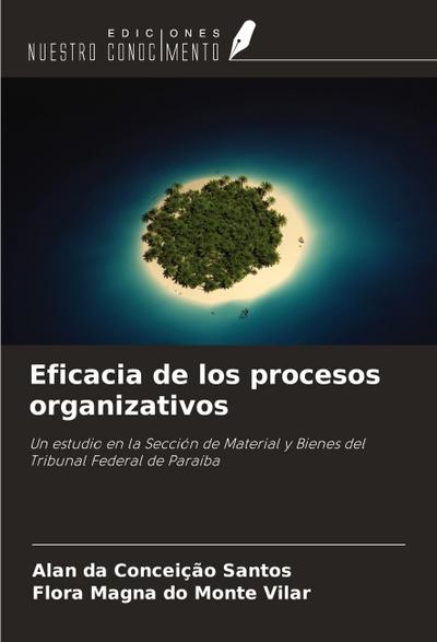 Eficacia de los procesos organizativos
