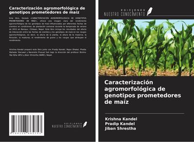 Caracterización agromorfológica de genotipos prometedores de maíz