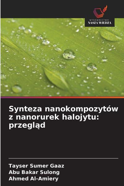 Synteza nanokompozytów z nanorurek halojytu: przegl¿d