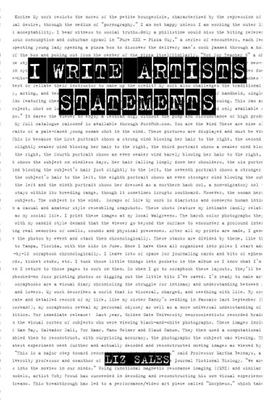 I Write Artist Statements