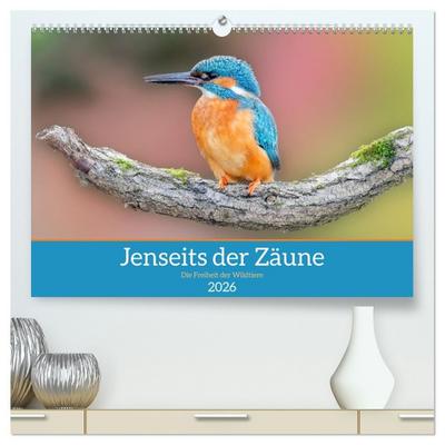 Jenseits der Zäune (hochwertiger Premium Wandkalender 2026 DIN A2 quer), Kunstdruck in Hochglanz