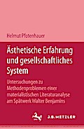 Ästhetische Erfahrung und gesellschaftliches System