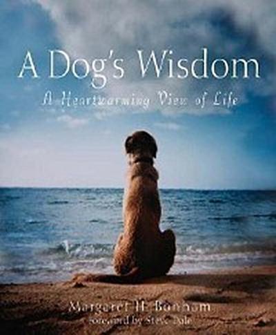 A Dog’s Wisdom