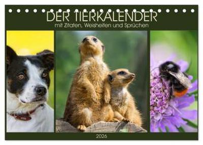 Der Tierkalender mit Zitaten, Weisheiten und Sprüchen (Tischkalender 2026 DIN A5 quer), CALVENDO Monatskalender