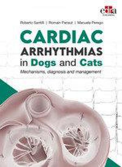 Cardiac Arrhythmias in Dogs and Cats: Mechanisms, Diagnosis and Management