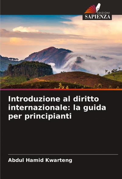 Introduzione al diritto internazionale: la guida per principianti