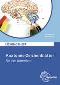 Anatomie-Zeichenblätter für den Unterricht
