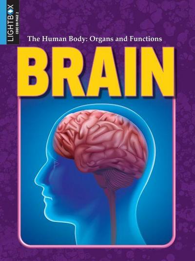 Brain