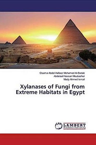 Xylanases of Fungi from Extreme Habitats in Egypt