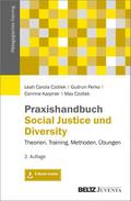 Praxishandbuch Social Justice und Diversity von Leah Carola Czollek | Taschenbuch