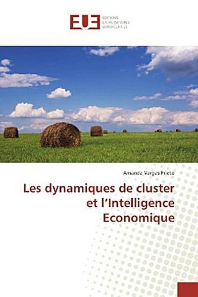 Les dynamiques de cluster et l¿Intelligence Economique