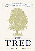 The Tree