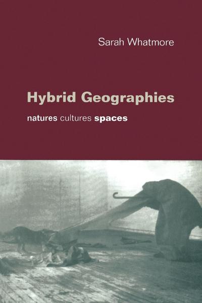 Hybrid Geographies