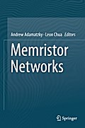 Memristor Networks