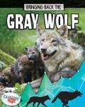 Bringing Back the Gray Wolf