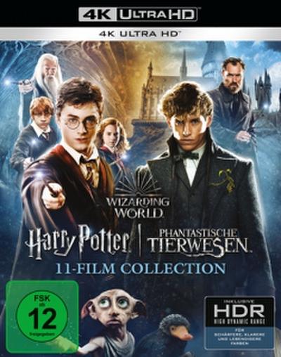 Wizarding World 11-Film Collection: Harry Potter  Phantastische Tierwesen
