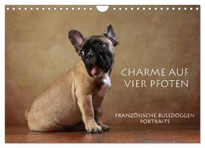 Charme auf vier Pfoten - Französische Bulldoggen Portraits (Wandkalender 2026 DIN A4 quer), CALVENDO Monatskalender