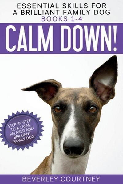 Essential Skills for a Brilliant Family Dog