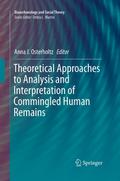 Theoretical Approaches to Analysis and Interpretat