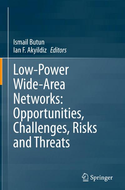 Low-Power Wide-Area Networks: Opportunities, Challenges, Risks and Threats