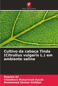 Cultivo da cabaça Tinda (Citrullus vulgaris L.) em ambiente salino