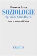 Soziologie: Spezielle Grundlagen 6