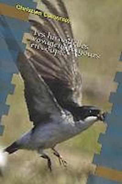 Les Hirondelles Voyagent Toujours En Couple