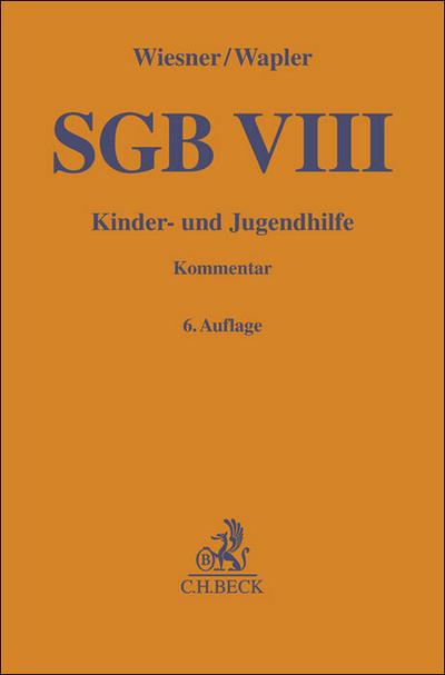 SGB VIII