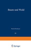 Baum und Wald