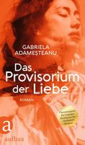 Das Provisorium der Liebe