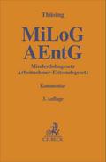 Mindestlohngesetz und Arbeitnehmer-Entsendegesetz.
