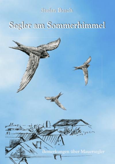 Segler am Sommerhimmel
