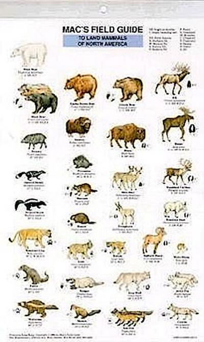 Mac’s Field Guides: North American Land Mammals