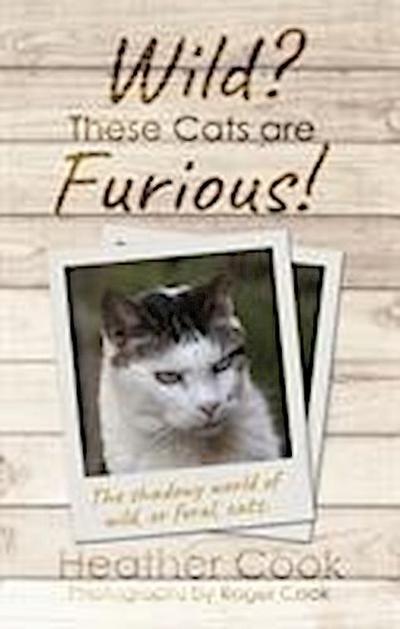 Wild? These Cats are Furious!