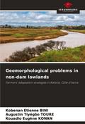Geomorphological problems in non-dam lowlands
