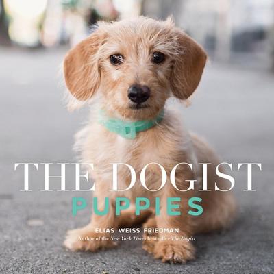 Friedman, E: Dogist Puppies