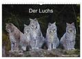 Der Luchs (Wandkalender 2024 DIN A4 quer), CALVENDO Monatskalender