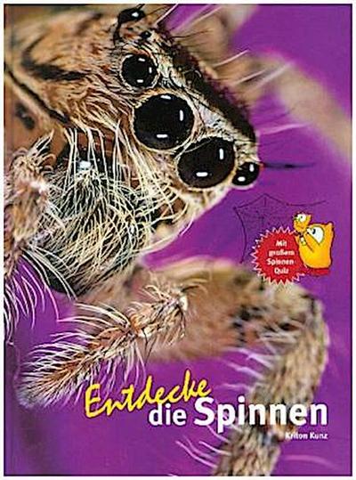 Entdecke die Spinnen
