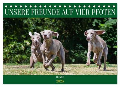 Unsere Freunde auf vier Pfoten - Hunde (Tischkalender 2026 DIN A5 quer), CALVENDO Monatskalender