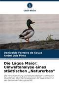 Die Lagoa Maior: Umweltanalyse eines städtischen N