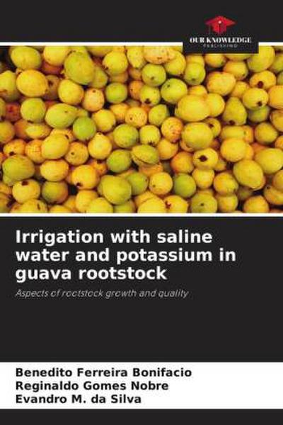 Irrigation with saline water and potassium in guava rootstock