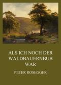 Als ich noch der Waldbauernbub war