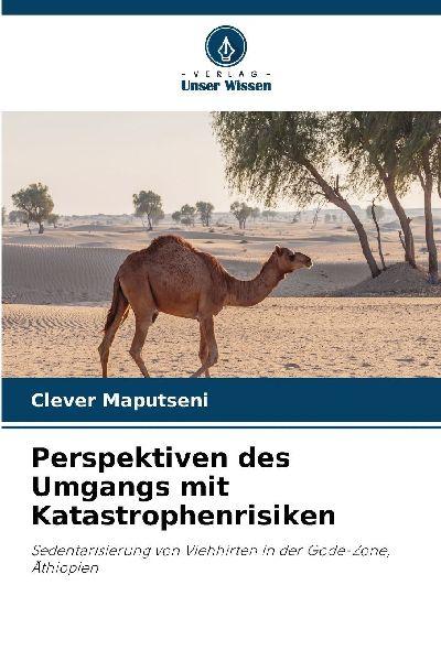 Perspektiven des Umgangs mit Katastrophenrisiken